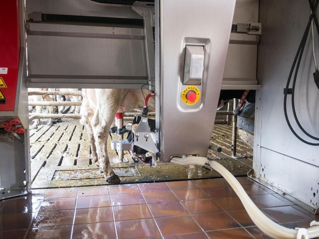 Ferienwohnung Sonnenaufgangsgenuss Harriersand Schwanewede Luaran gambar